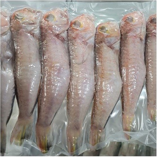 통옥돔(옥돔굴비)