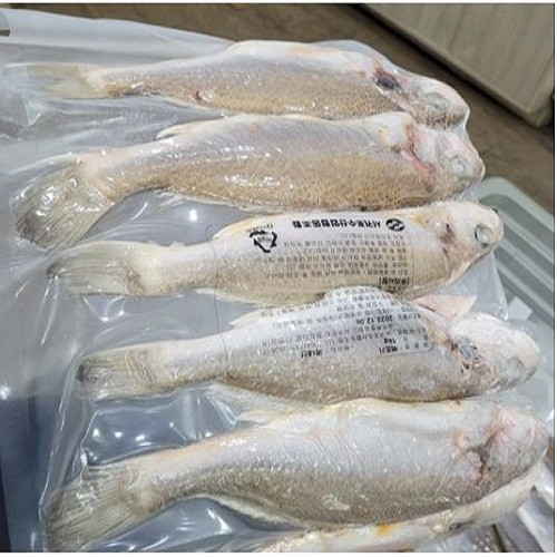 백조기(대)                                                                                         [6~8마리/Kg*1팩(150g전후)] 통진공